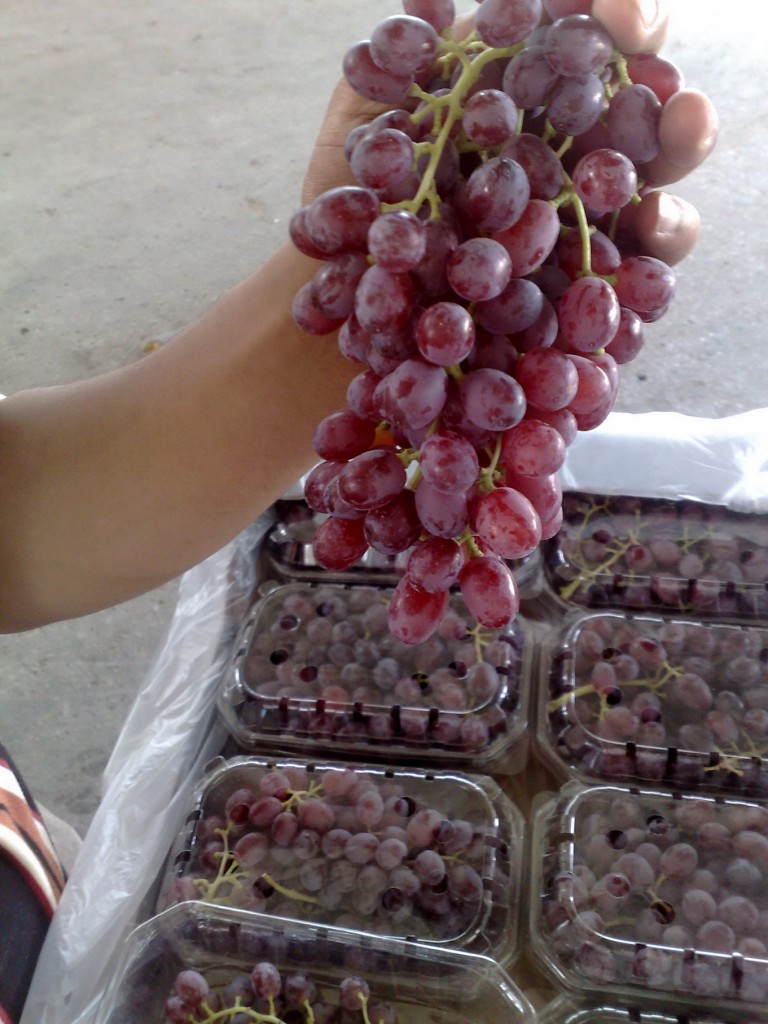 grapes_4.jpg